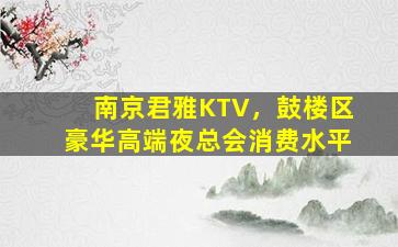 南京君雅KTV，鼓楼区豪华高端夜总会消费水平